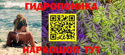 гашик Балашиха