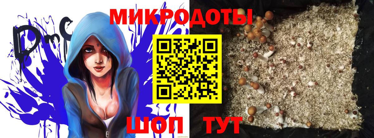 Псилоцибиновые грибы MAGIC MUSHROOMS Губаха