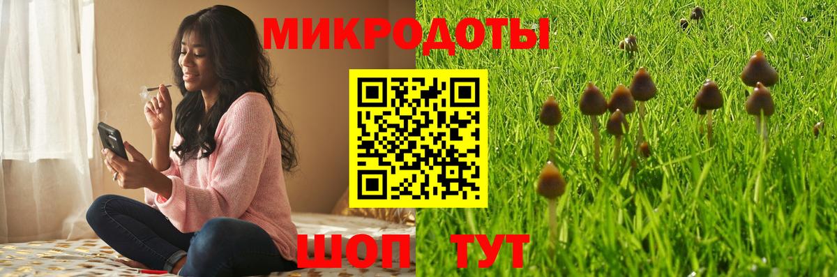 Псилоцибиновые грибы MAGIC MUSHROOMS  Вход с VPN  Губаха 